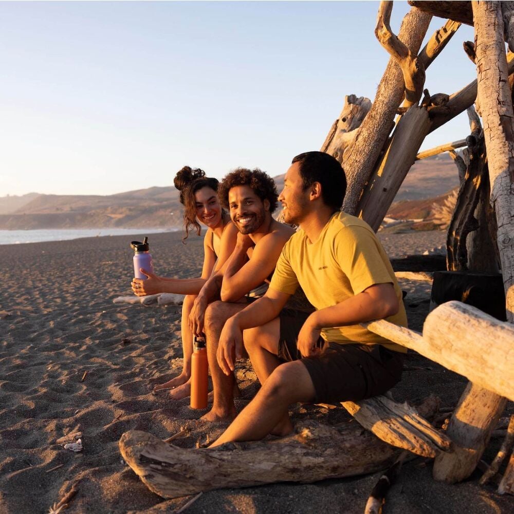 32 oz (946 ml) Wide Mouth with Flex Straw Cap - Sandpiper - Hydro Flask