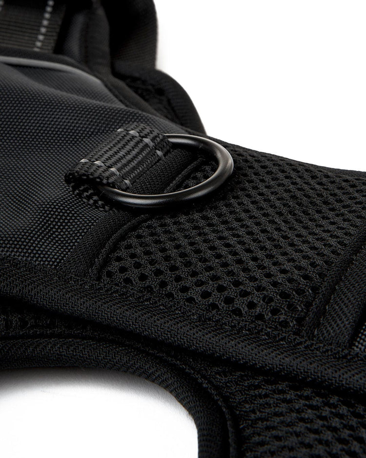 Branded - Pet Harness - Black