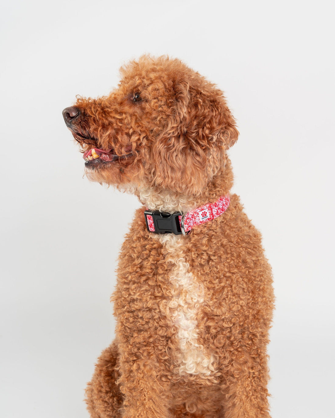 Corp - Pet Collar - Red