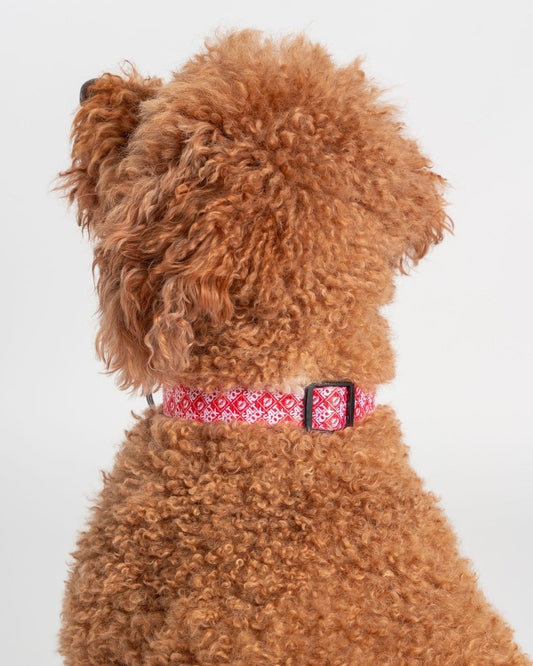 Corp - Pet Collar - Red