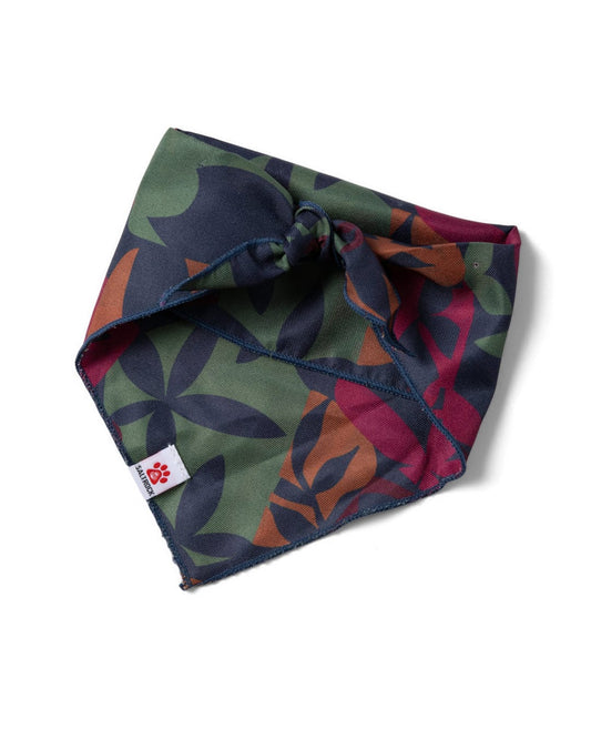 Balance - Pet Bandana - Blue