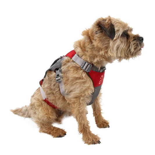 Dog Hiking Harness