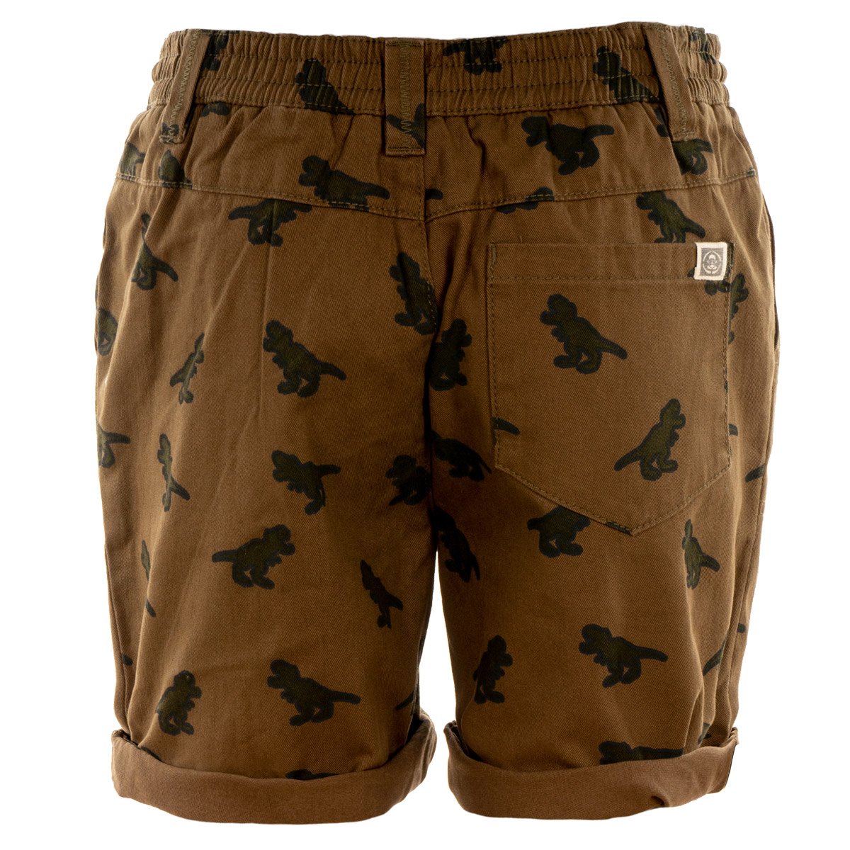 Dinosaur - Kids Shorts - Green