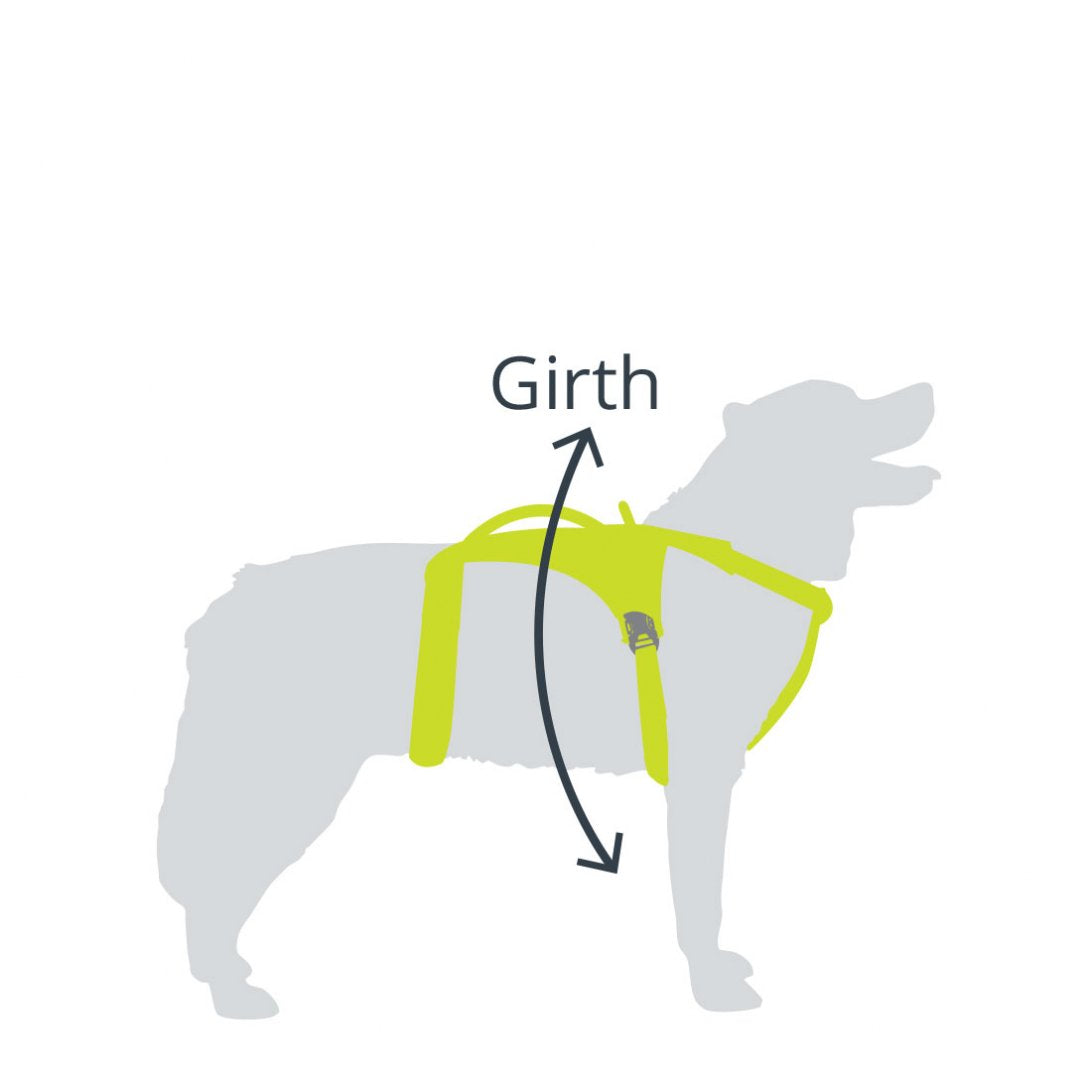 Dog Hiking Harness