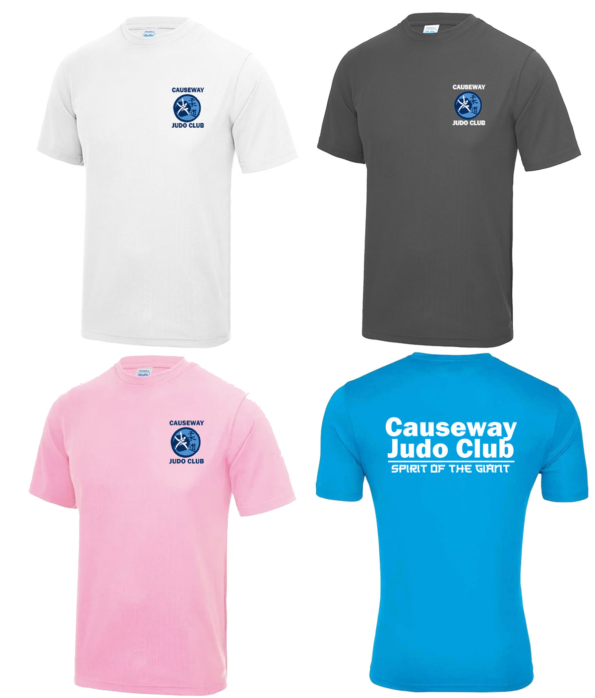 Causeway Judo - Training Tee (White, Grey & Blue)