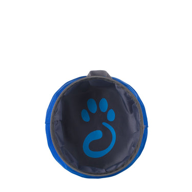 Small Dog Water Bowl