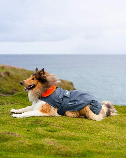 Dryrobe Dark Grey Orange Dog Coat