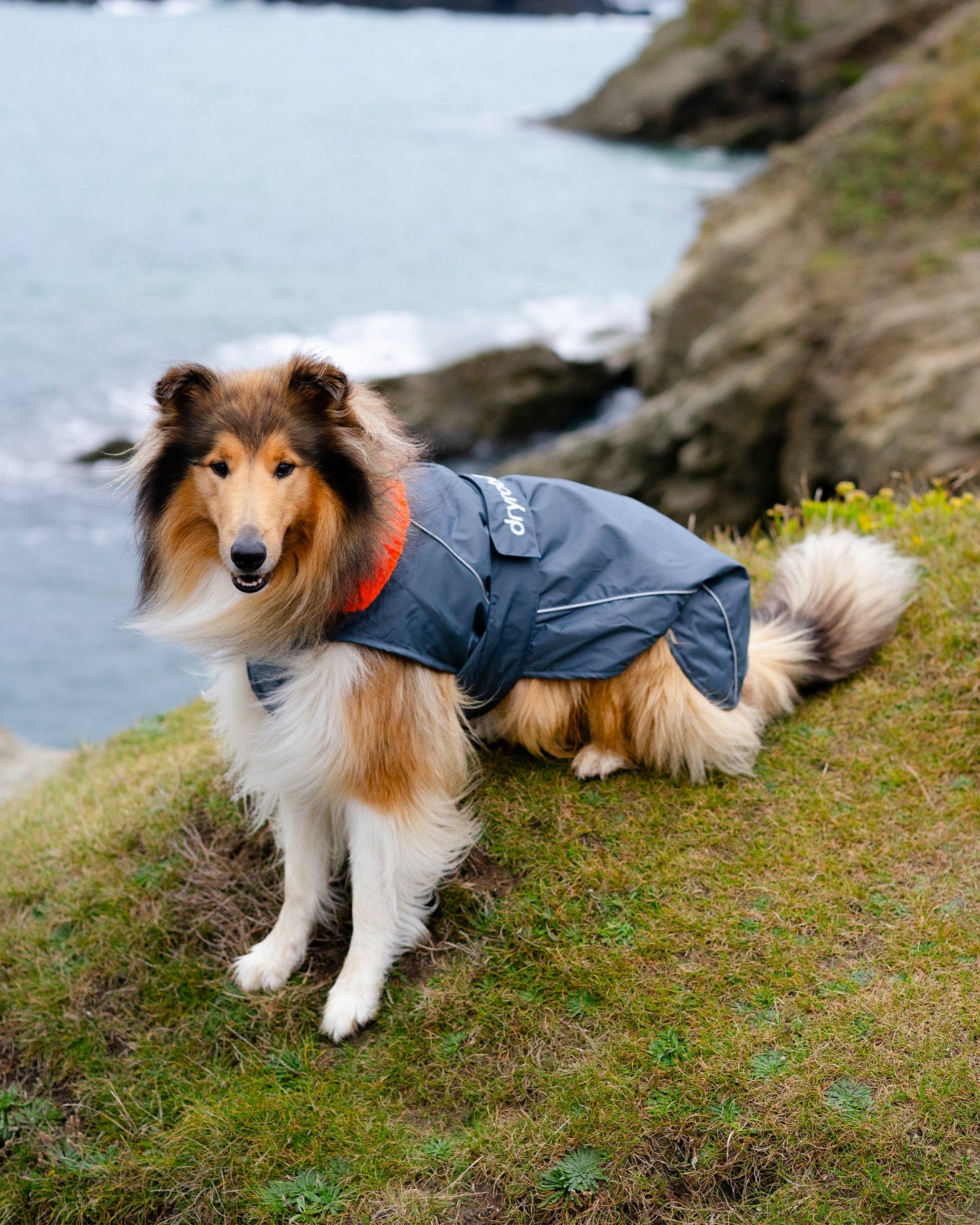Dryrobe Dark Grey Orange Dog Coat