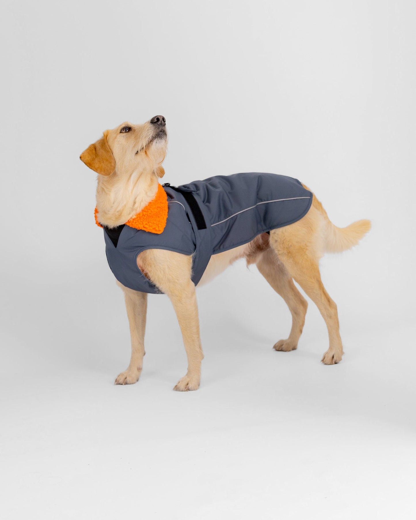 Dryrobe Dark Grey Orange Dog Coat