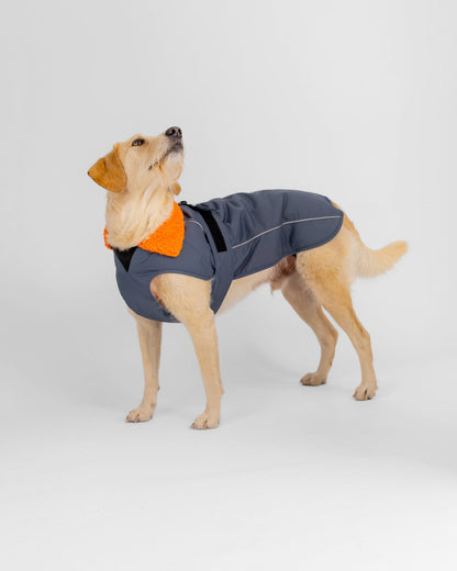 Dryrobe Dark Grey Orange Dog Coat