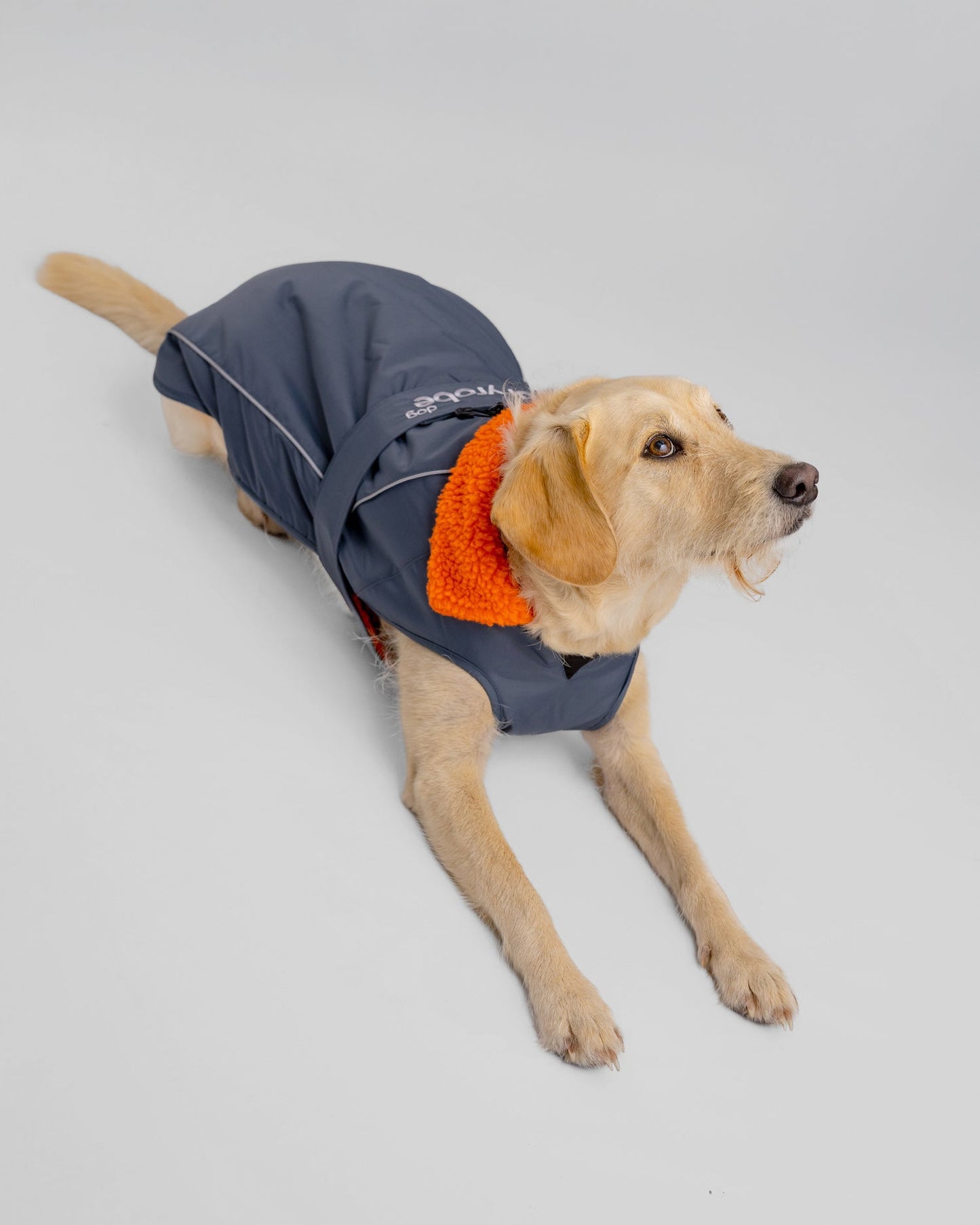 Dryrobe Dark Grey Orange Dog Coat