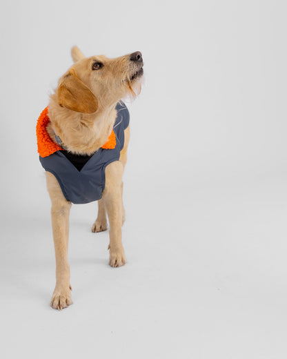 Dryrobe Dark Grey Orange Dog Coat