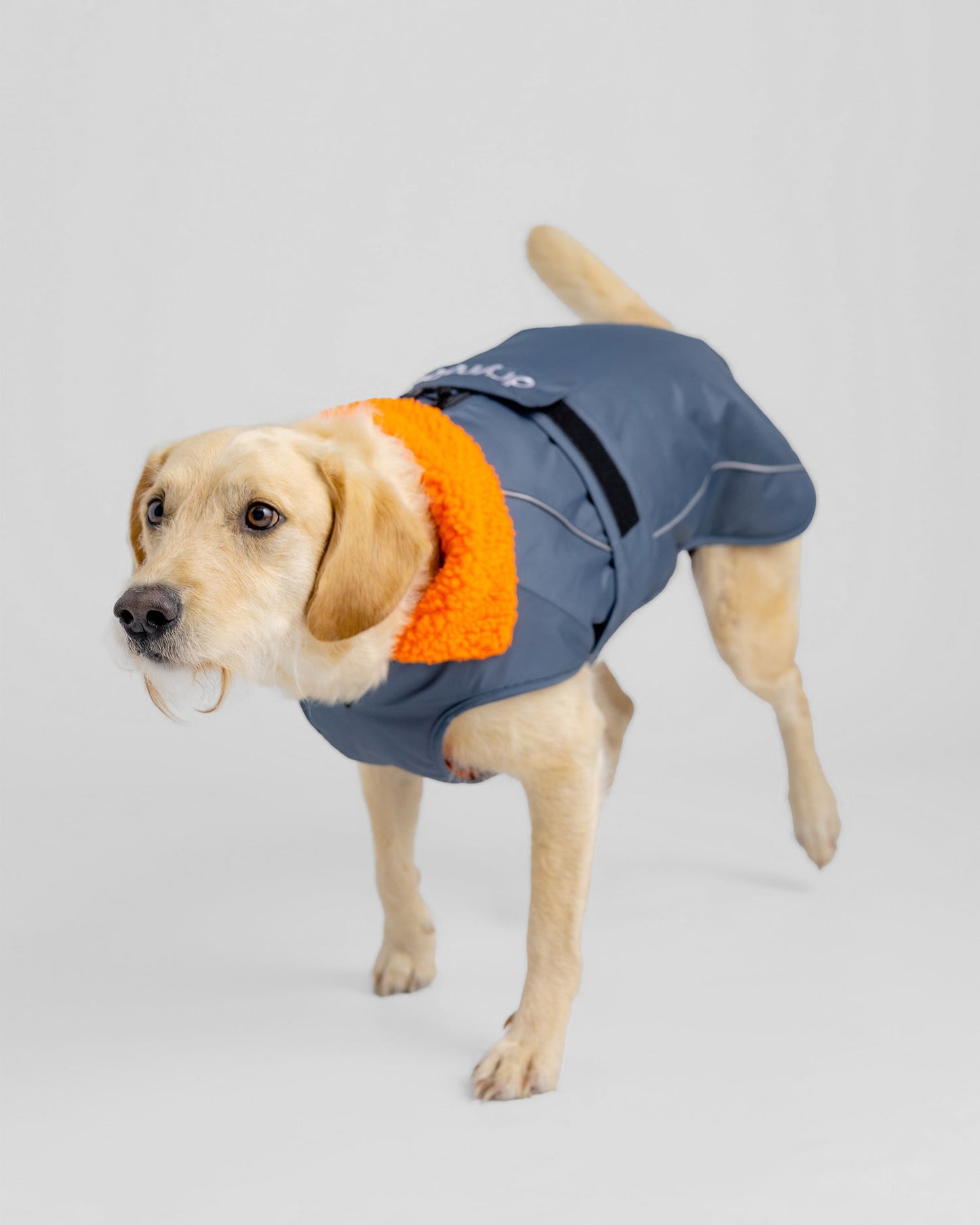 Dryrobe Dark Grey Orange Dog Coat