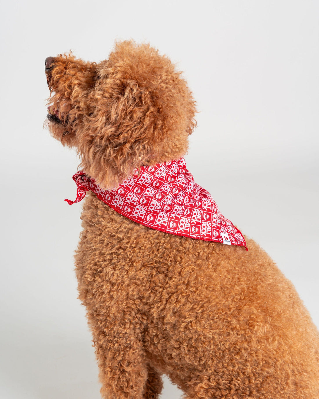 Corp - Pet Bandana - Red