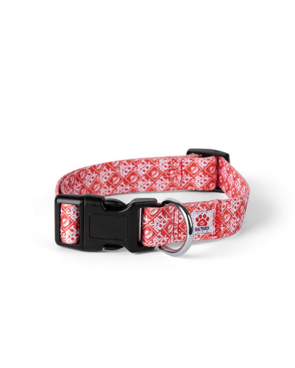 Corp - Collar - Red