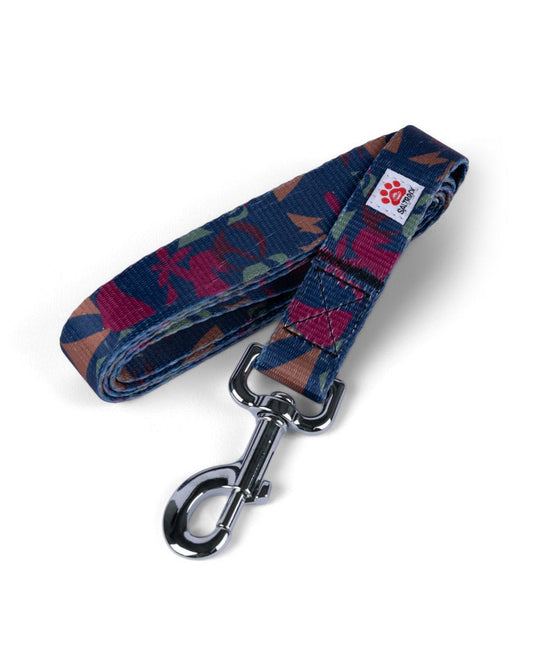 Balance - Pet Lead - Blue