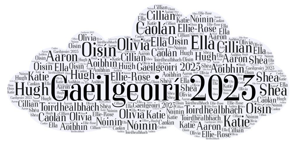 Gaelscoil Leavers Hoodie 2024