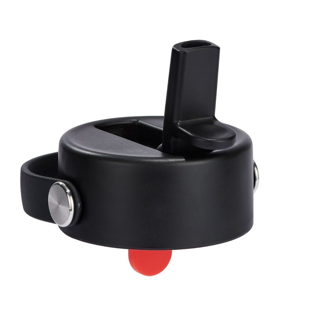 32 oz (946 ml) Wide Mouth with Flex Straw Cap - Sandpiper - Hydro Flask