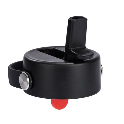 32 oz (946 ml) Wide Mouth with Flex Straw Cap - Sandpiper - Hydro Flask