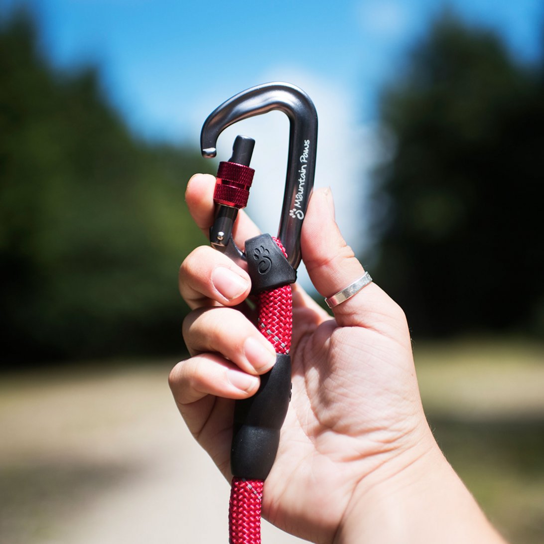 Rope Dog Lead - Red