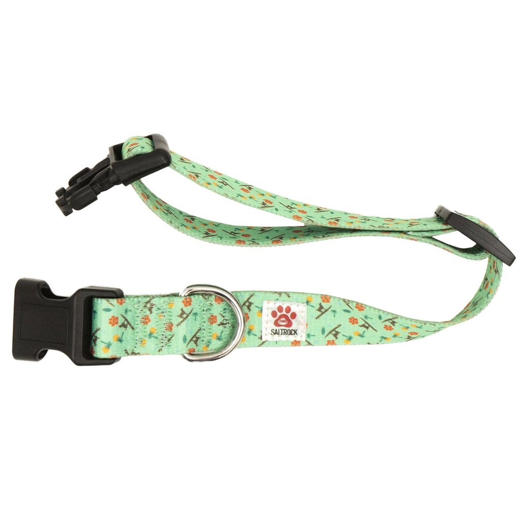 Dog Collars & Leads - Saltrock