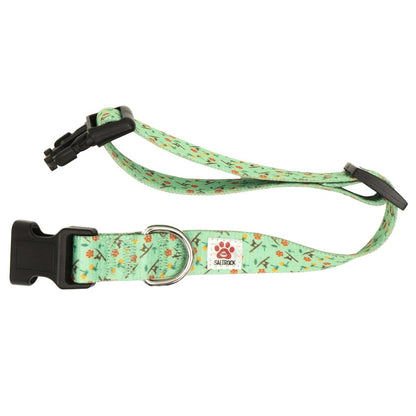 Dog Collars & Leads - Saltrock