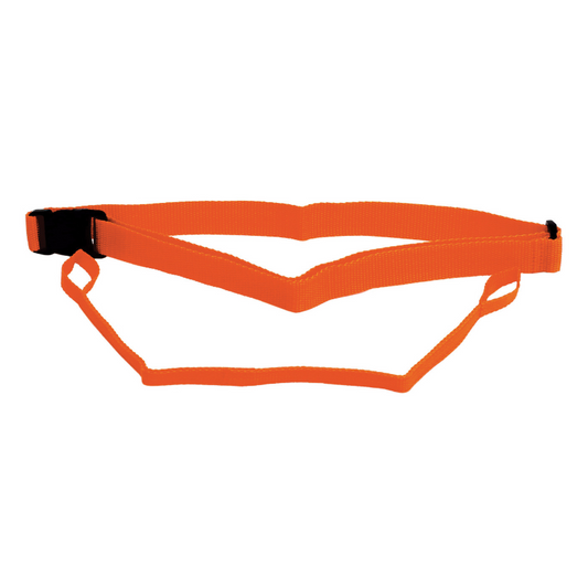 Waist Belt & Leash Set - SwimSecure