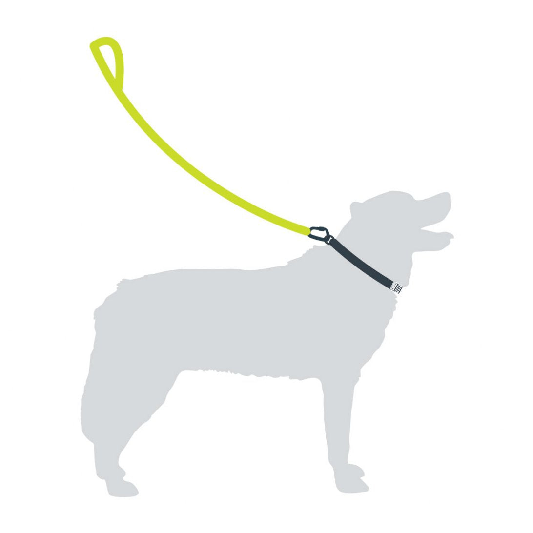 Rope Dog Lead - Red